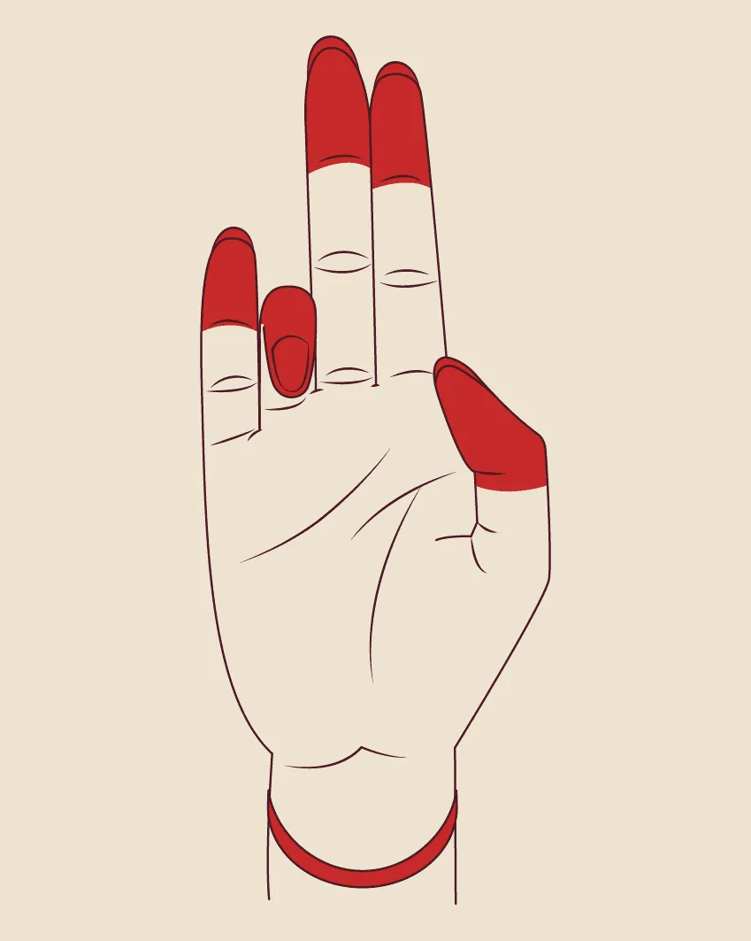 Illustration of the Tripataka hasta.